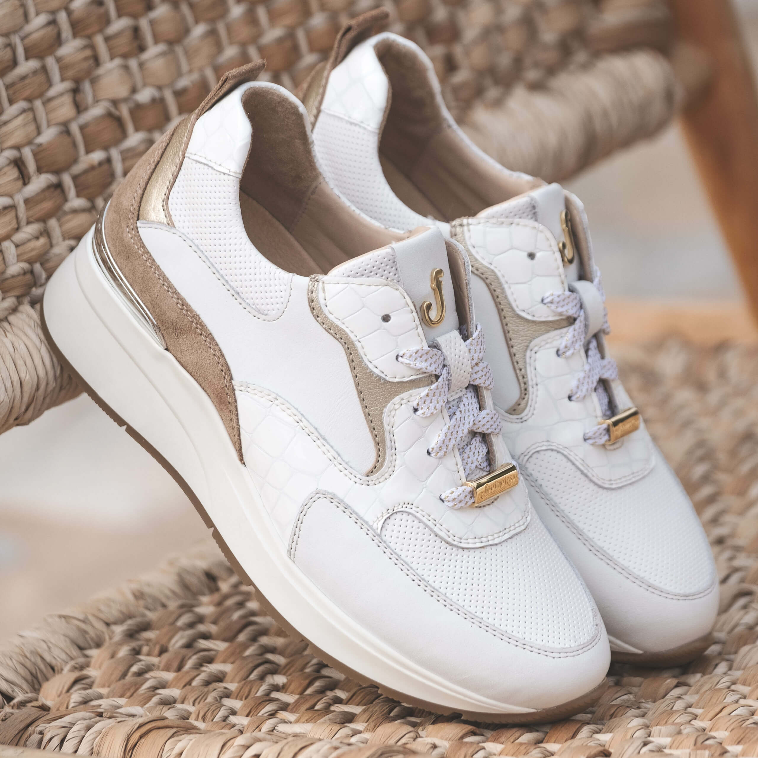 Footnotes - Collectie - SS229